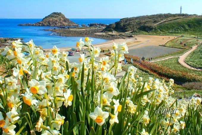 Shimoda Ocean Park Hotel Zewnętrze zdjęcie