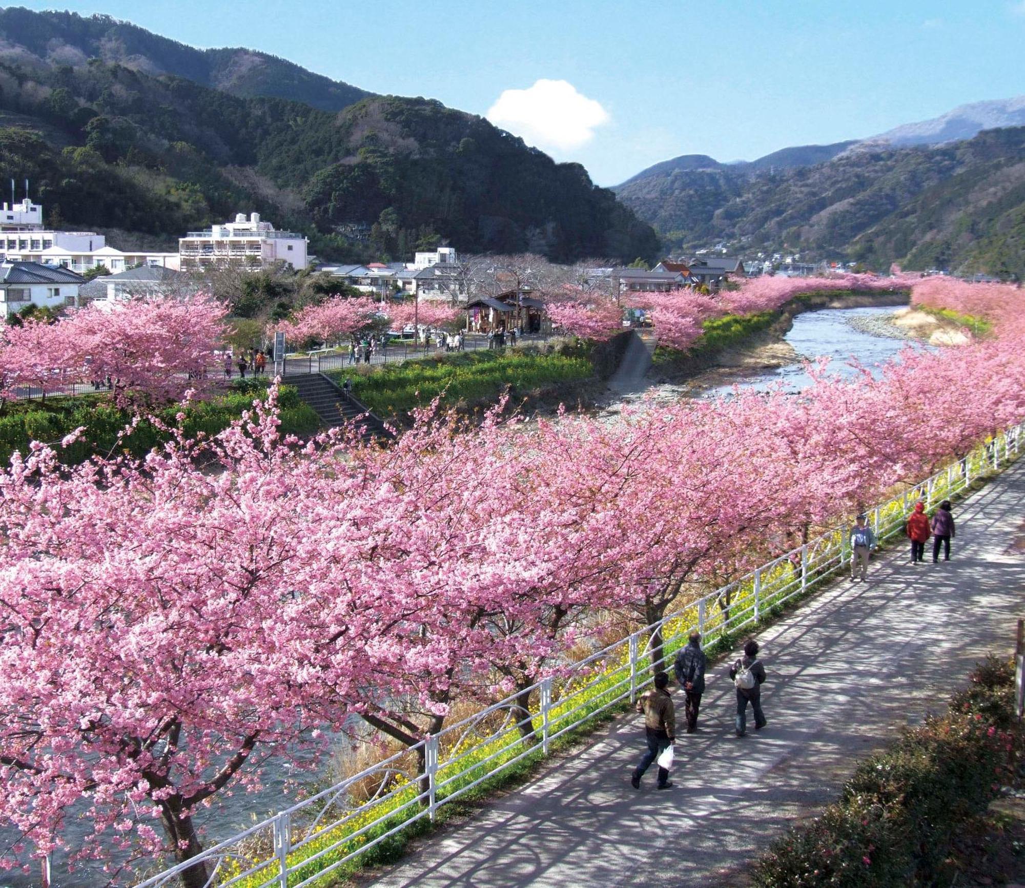 Shimoda Ocean Park Hotel Zewnętrze zdjęcie